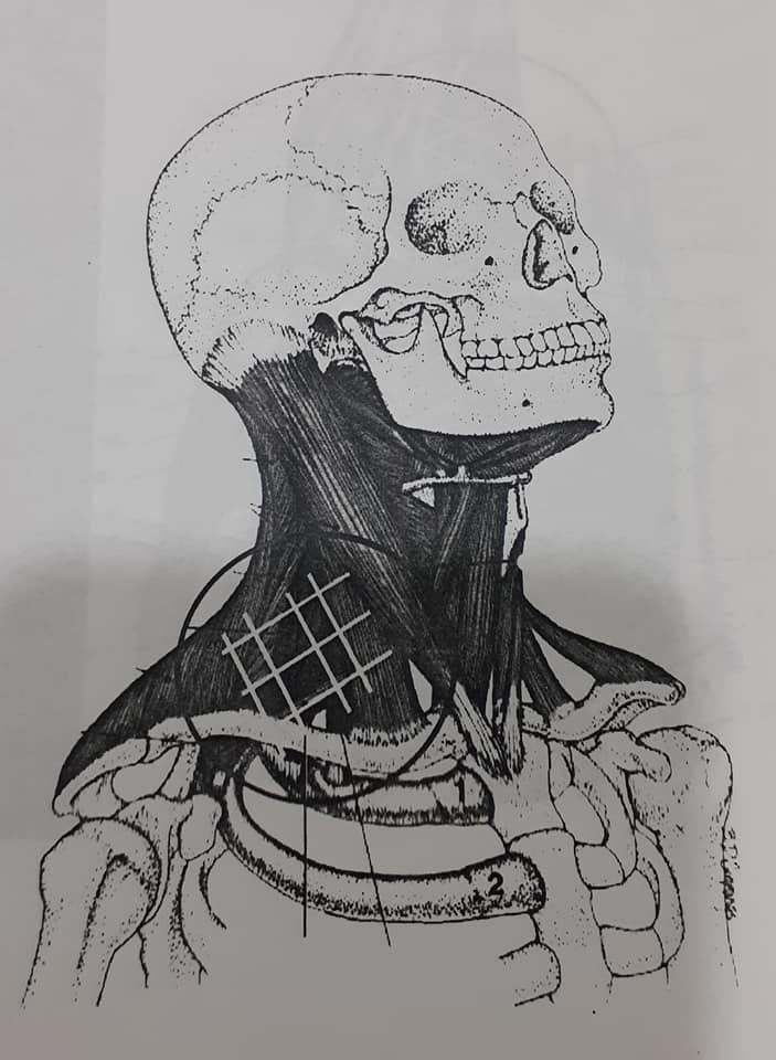 20200803014802_1.jpg